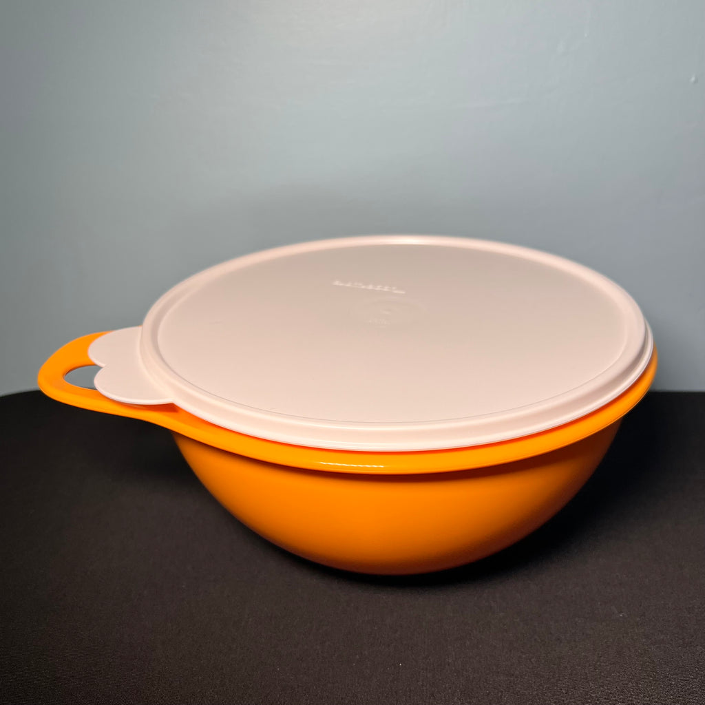 Tupperware Small Thatsa Container