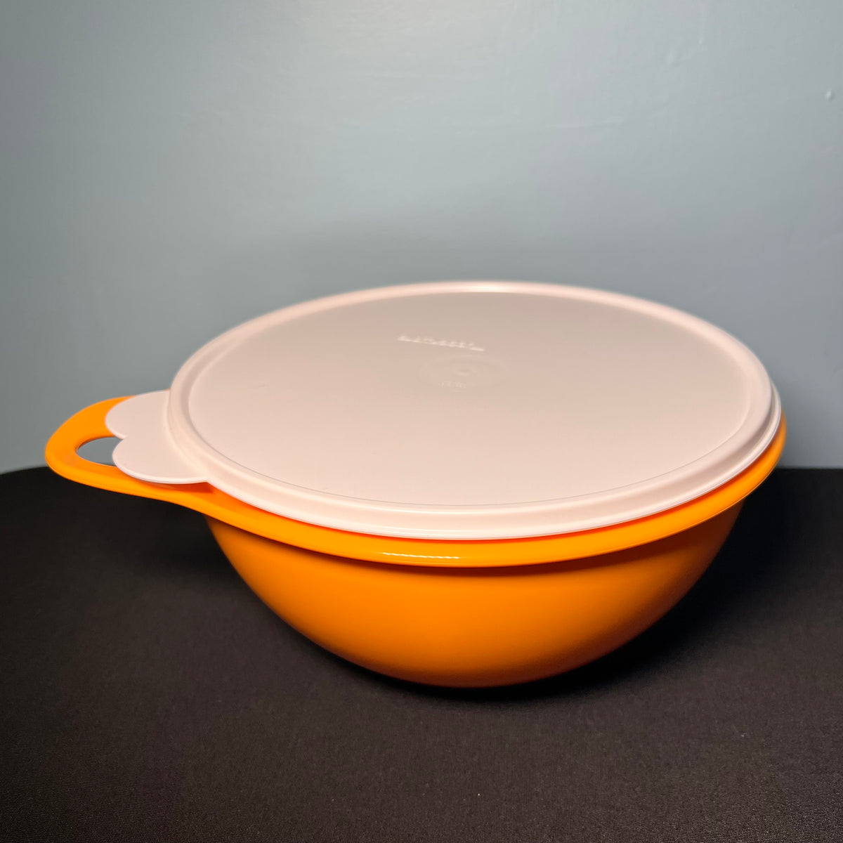 Tupperware Small Thatsa Container