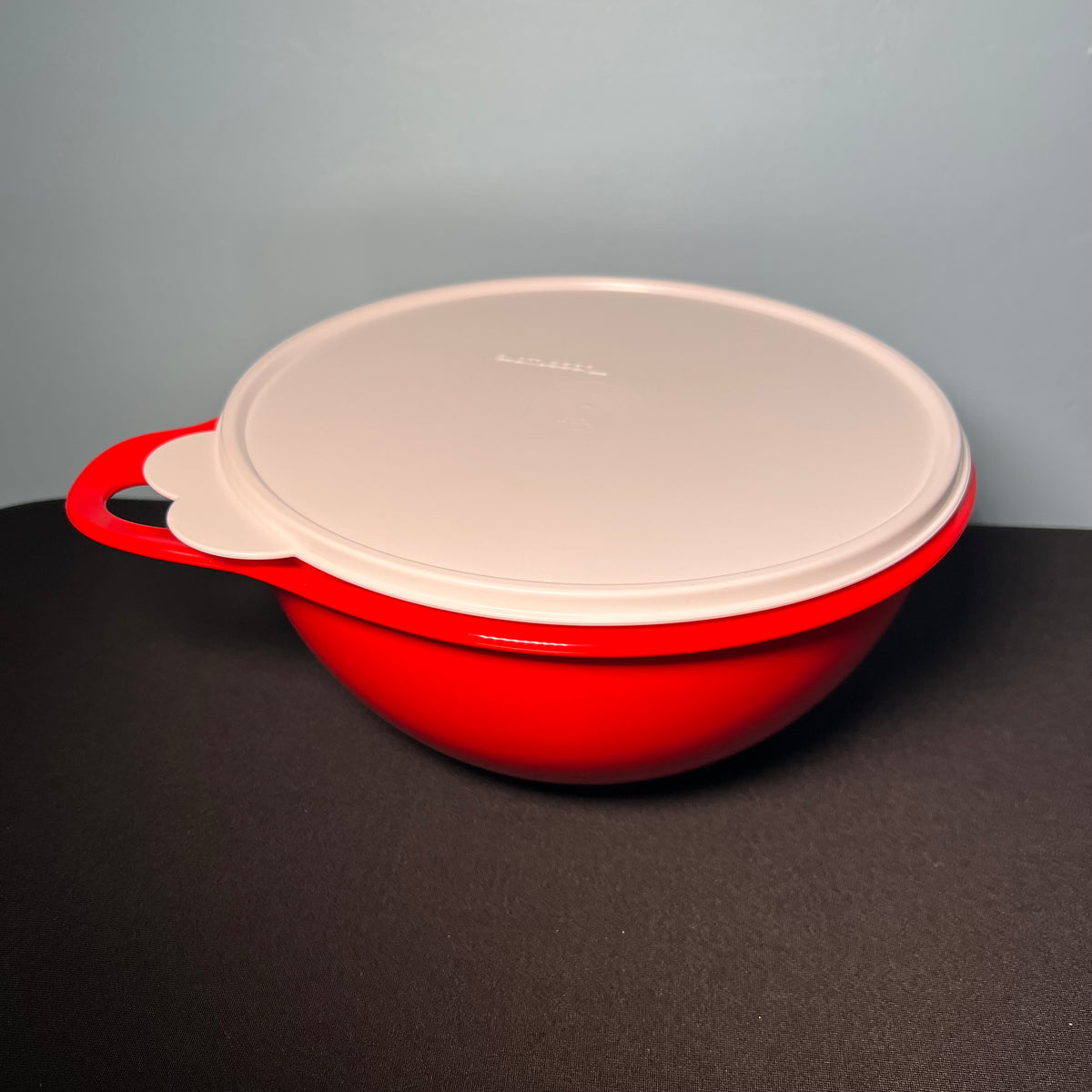 Tupperware Small Thatsa Container