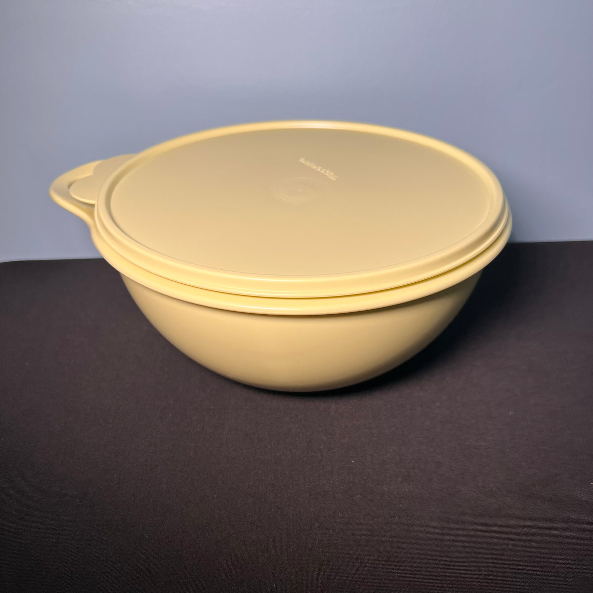 Tupperware Small Thatsa Container