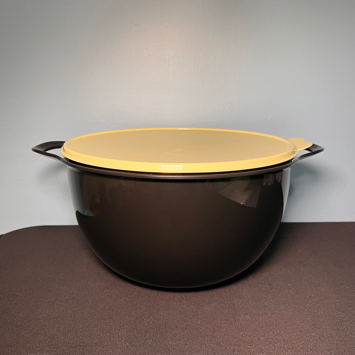 Tupperware 10L Thatsa Container